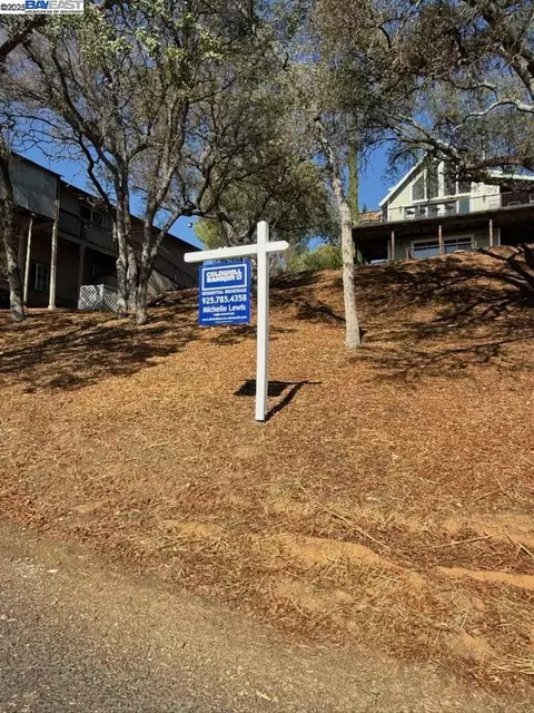 490 Bret Harte Dr, Copperopolis, CA 95228 photo 2