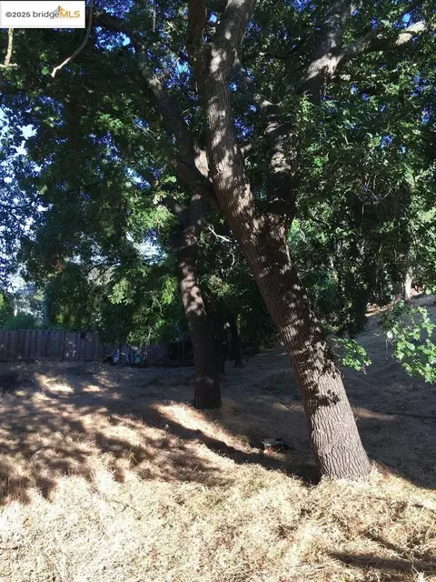 1032 Millbrook Ct, Walnut Creek, CA 94598 photo 6