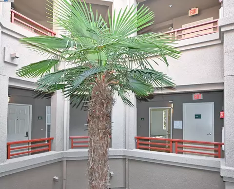 280 Caldecott Ln #221, Oakland, CA 94618