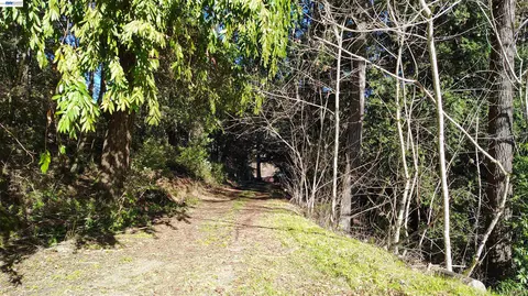 Exterior - 28440 Ryan Creek Rd, Willits, CA 95490 photo 6 of 6