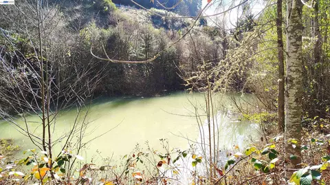 View/Area - 28440 Ryan Creek Rd, Willits, CA 95490 photo 1 of 1