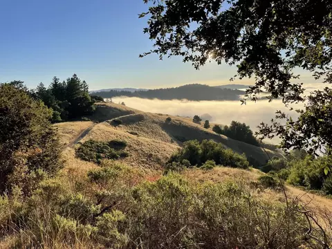 00 Mountain King Rd, Lagunitas, CA 94938 photo 4