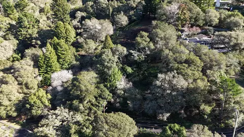 1488 Alvarado Rd, Berkeley, CA 94705 photo 3