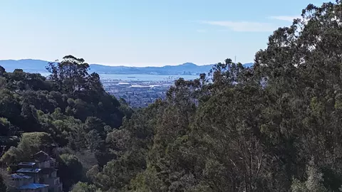 1488 Alvarado Rd, Berkeley, CA 94705 photo 8