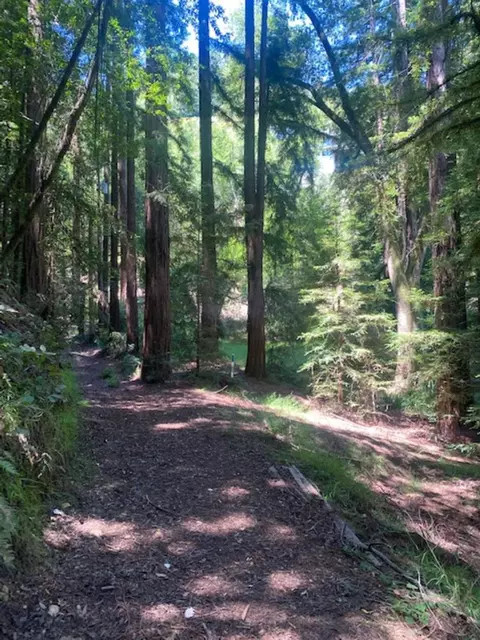 2 Wainwright Pl, Mill Valley, CA 94941