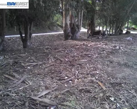 Morrison Canyon Rd, Fremont, CA 94536