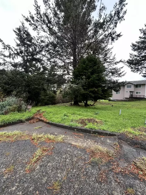 22 Spruce Ct, Whitethorn, CA 95589 photo 6