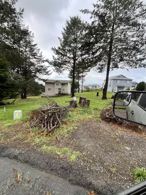 22 Spruce Ct, Whitethorn, CA 95589 photo 5