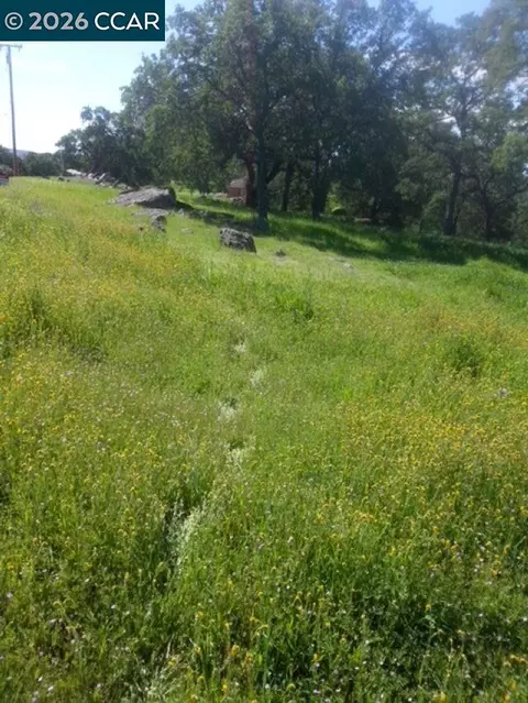 56 Deer Hollow Trl, Browns Valley, CA 95918