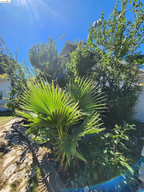 Exterior - 21 Monte Vista Ave, Vallejo, CA 94590 photo 11 of 13