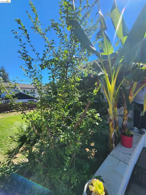 Exterior - 21 Monte Vista Ave, Vallejo, CA 94590 photo 10 of 13