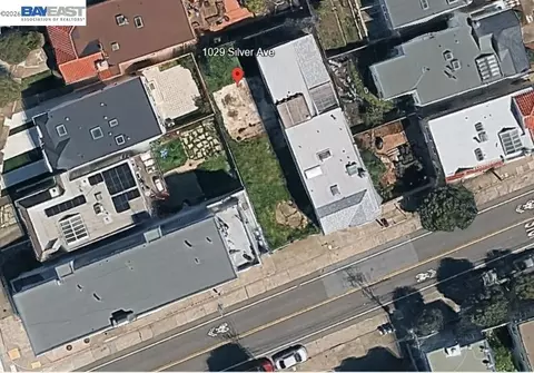 1029 Silver Ave, San Francisco, CA 94134