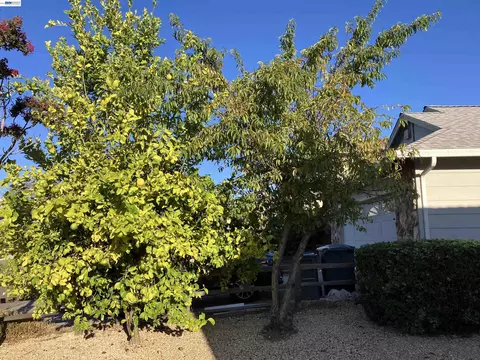 Exterior - 181 Yachtsman Dr, Vallejo, CA 94591 photo 3 of 15
