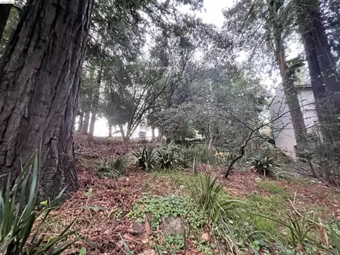 962 Regal Rd, Berkeley, CA 94708 photo 13