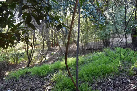 962 Regal Rd, Berkeley, CA 94708 photo 3