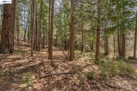 Other - 121 Mountain Aire Ln, Trinity Center, CA 96091 photo 14 of 14