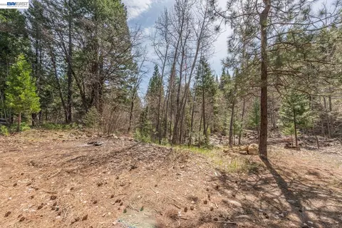 Exterior - 121 Mountain Aire Ln, Trinity Center, CA 96091 photo 9 of 18