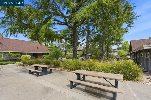Exterior - 204 Miramonte Dr, Moraga, CA 94556 photo 10 of 13