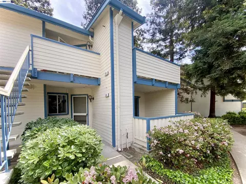 374 Sequim Cmn, Fremont, CA 94539 photo 1