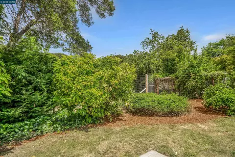 Exterior - 2319 Collins Ave, Pinole, CA 94564 photo 12 of 12