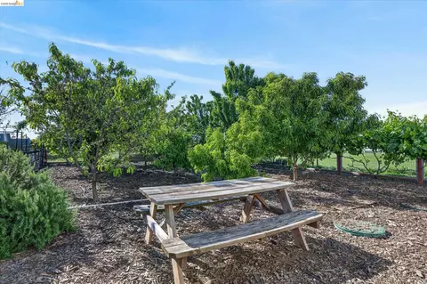 Exterior - 2151 Bartels Dr, Knightsen, CA 94548 photo 9 of 9