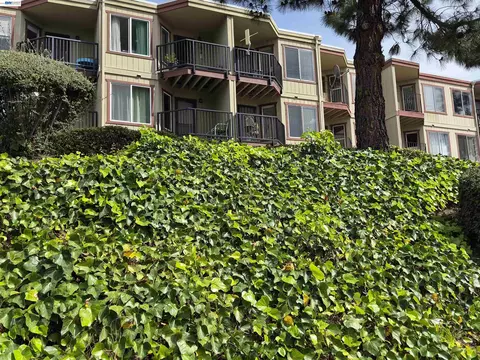Exterior - 20980 Birch #C, Hayward, CA 94541 photo 2 of 3