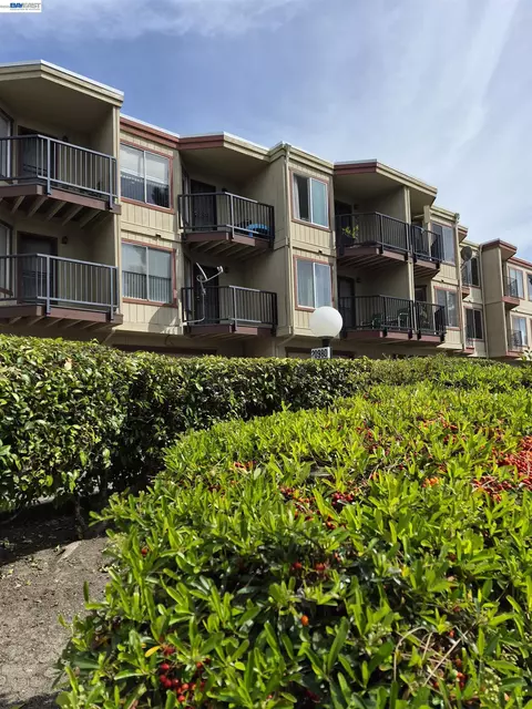 20980 Birch #C, Hayward, CA 94541