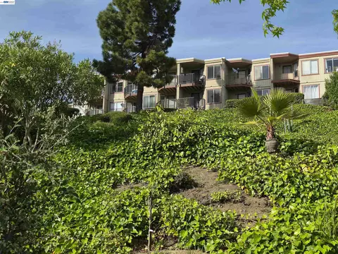 Exterior - 20980 Birch #C, Hayward, CA 94541 photo 3 of 3