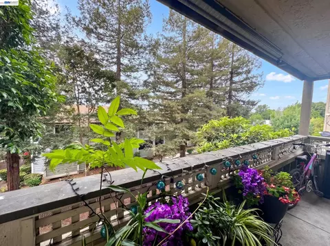 29599 Vanderbilt St #204, Hayward, CA 94544