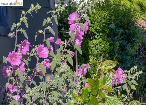 Other - 1233 Carleton St, Berkeley, CA 94702 photo 8 of 8