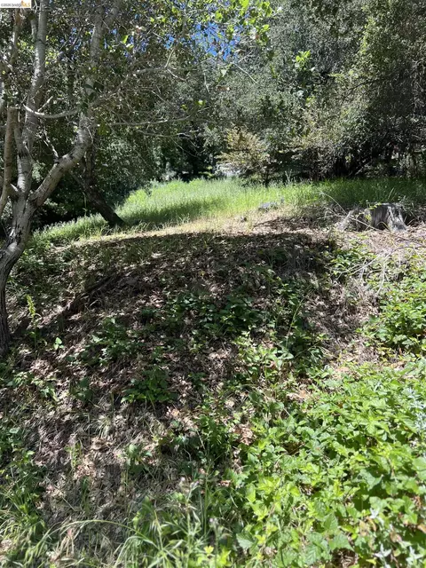 Beauforest Drive, Oakland, CA 94603
