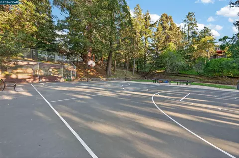 Other - 230 Fairlawn Dr, Berkeley, CA 94708 photo 13 of 17