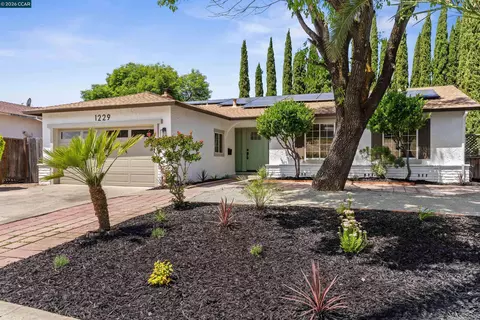 Exterior - 1229 Jensen Dr, Pittsburg, CA 94565 photo 9 of 10