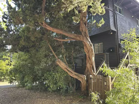 2638 Warring St #A, Berkeley, CA 94704