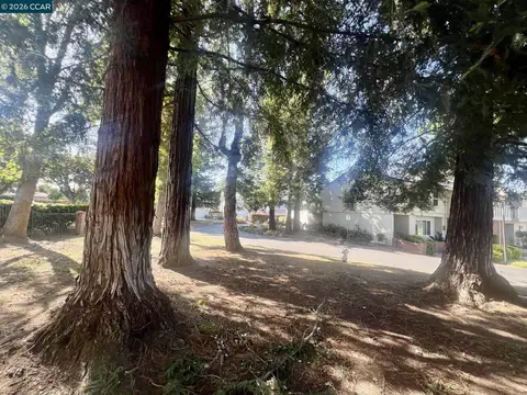 Exterior - 1815 Wildbrook Ct #C, Concord, CA 94521 photo 8 of 8