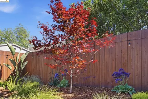 Exterior - 1712 Schiller St, Alameda, CA 94501 photo 13 of 20