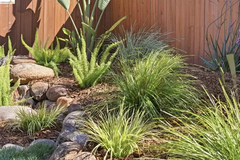Exterior - 1712 Schiller St, Alameda, CA 94501 photo 14 of 20