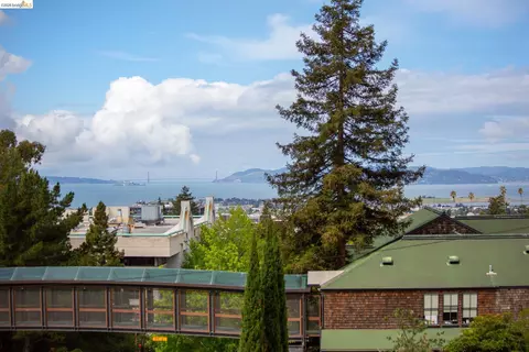 View/Area - 1825 Highland Pl #1831, Berkeley, CA 94709 photo 1 of 2