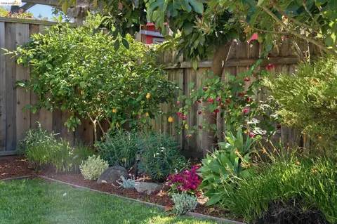 Exterior - 2210 Browning St, Berkeley, CA 94702 photo 8 of 12