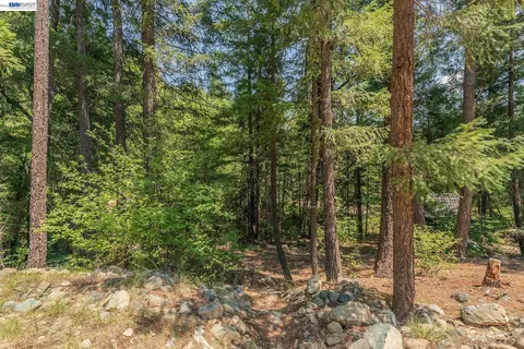 Exterior - 1371 Eagle Creek Loop Rd, Trinity Center, CA 96091 photo 11 of 14