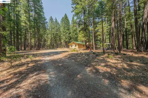 Exterior - 1371 Eagle Creek Loop Rd, Trinity Center, CA 96091 photo 2 of 14