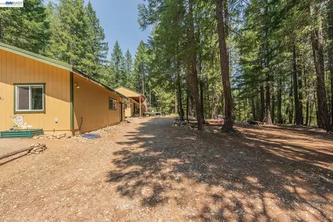 Exterior - 1371 Eagle Creek Loop Rd, Trinity Center, CA 96091 photo 5 of 14