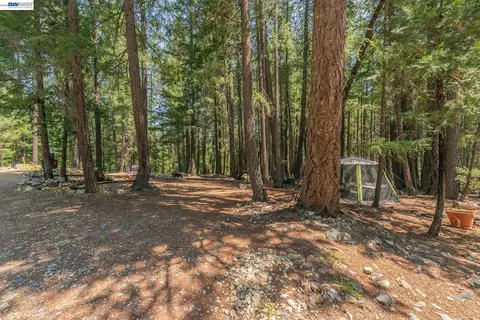 Exterior - 1371 Eagle Creek Loop Rd, Trinity Center, CA 96091 photo 4 of 14