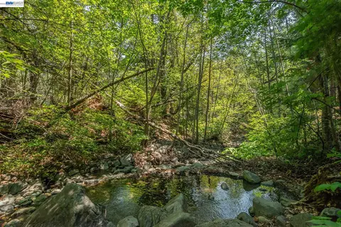Other - 1371 Eagle Creek Loop Rd, Trinity Center, CA 96091 photo 7 of 10