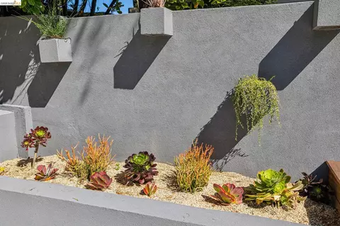 Exterior - 1328 Summit Rd, Berkeley, CA 94708 photo 3 of 22