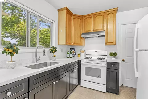 Kitchen - 1544 Channing Way, Berkeley, CA 94703 photo 1 of 2
