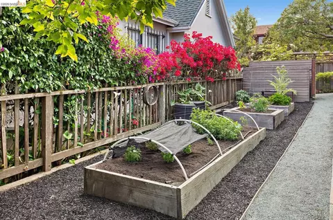 Exterior - 1429 Edith St, Berkeley, CA 94703 photo 10 of 17