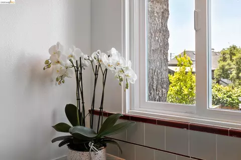 Bath - 178 Ardmore Rd, Kensington, CA 94707 photo 1 of 3