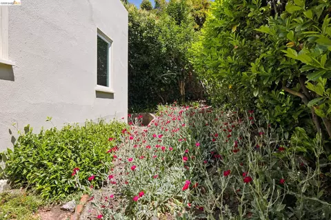 Exterior - 178 Ardmore Rd, Kensington, CA 94707 photo 5 of 6