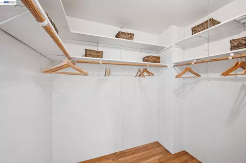 Other - 1055 Sterling Ave, Berkeley, CA 94708 photo 5 of 12
